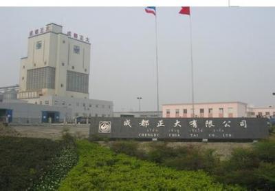 成都正大集团